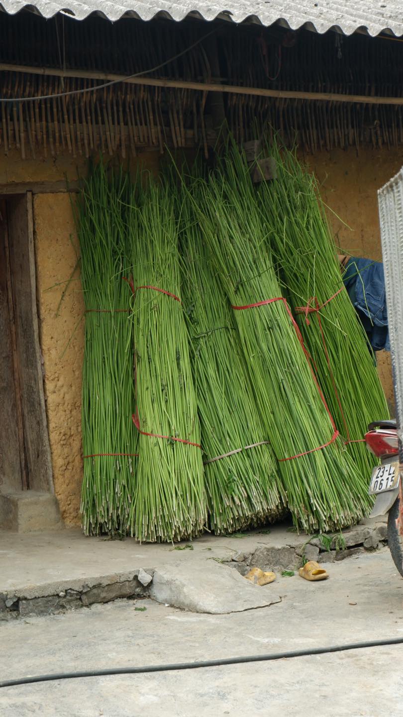 Vải lanh gai của người H'Mông và nghề dệt truyền thống