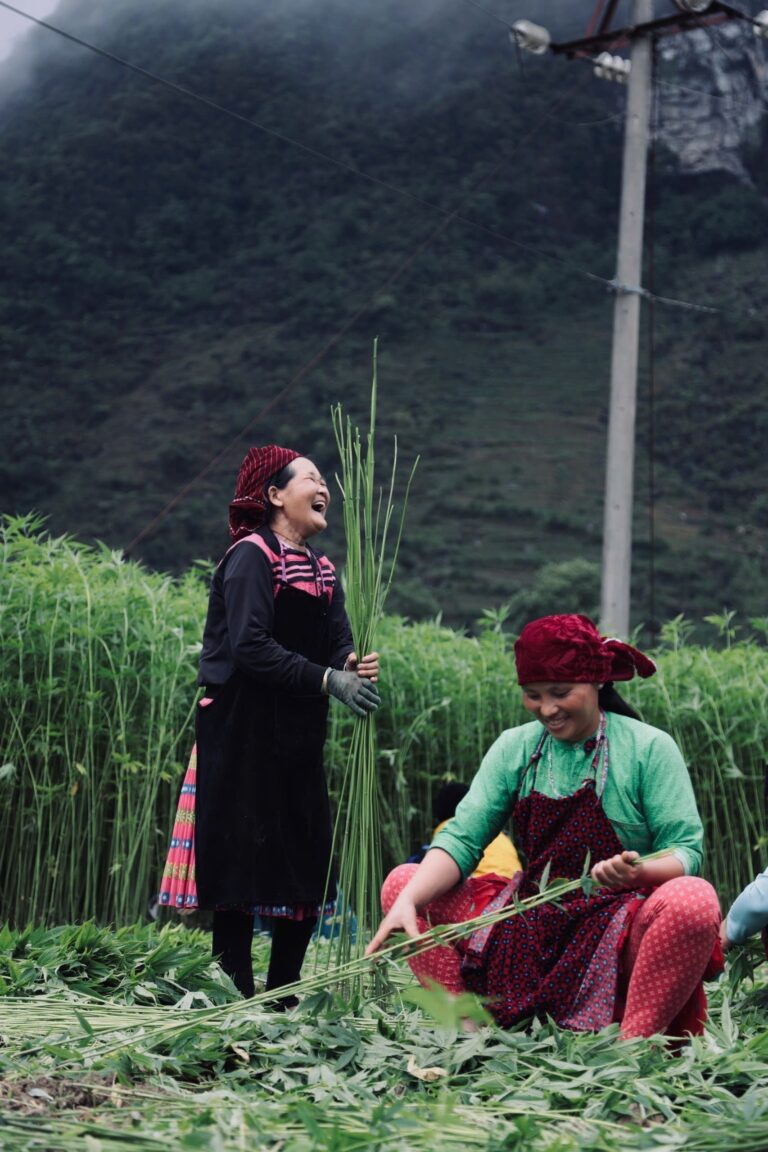 Vải lanh gai của người H'Mông