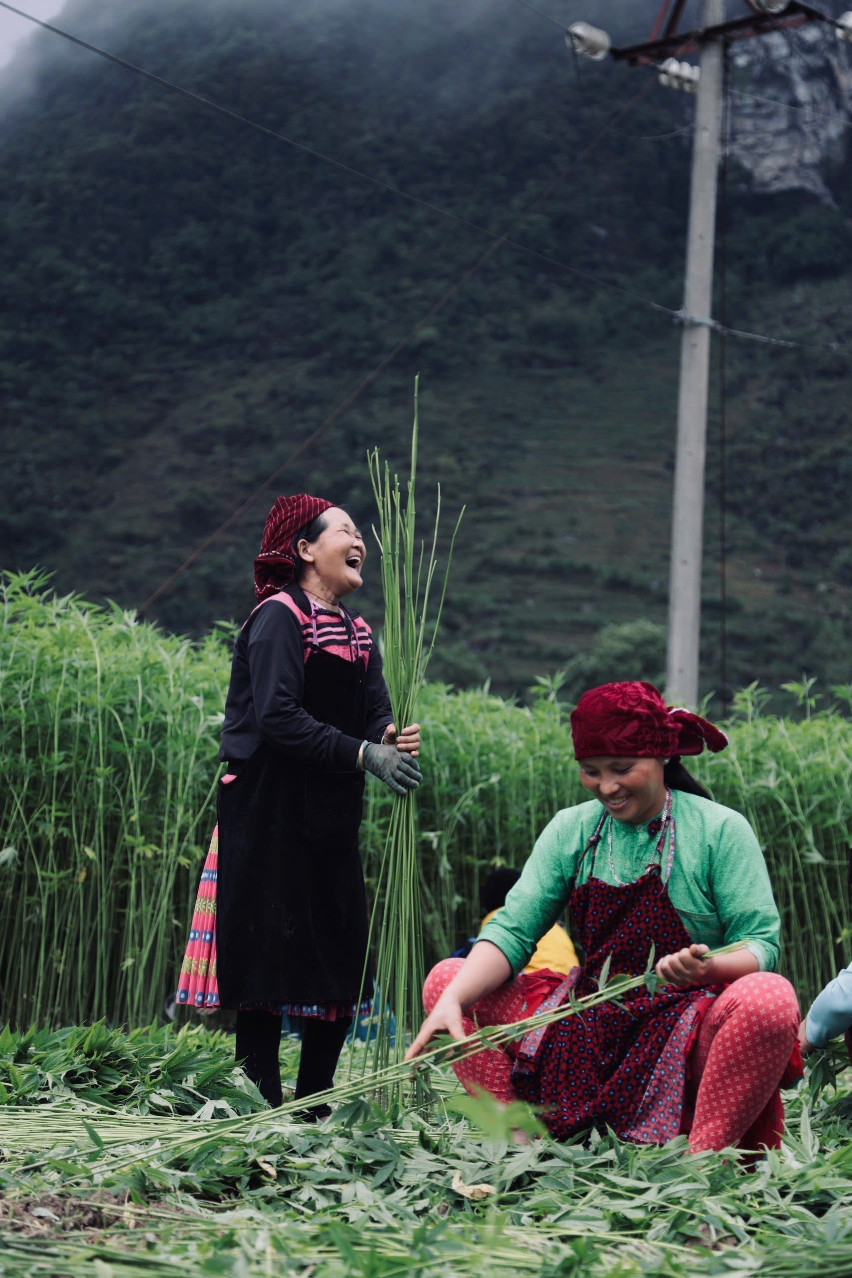 Vải lanh gai của người H'Mông